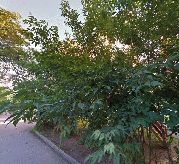 Отделение банка Союз по адресу ул. Карла Либкнехта, д. 99, лит. А